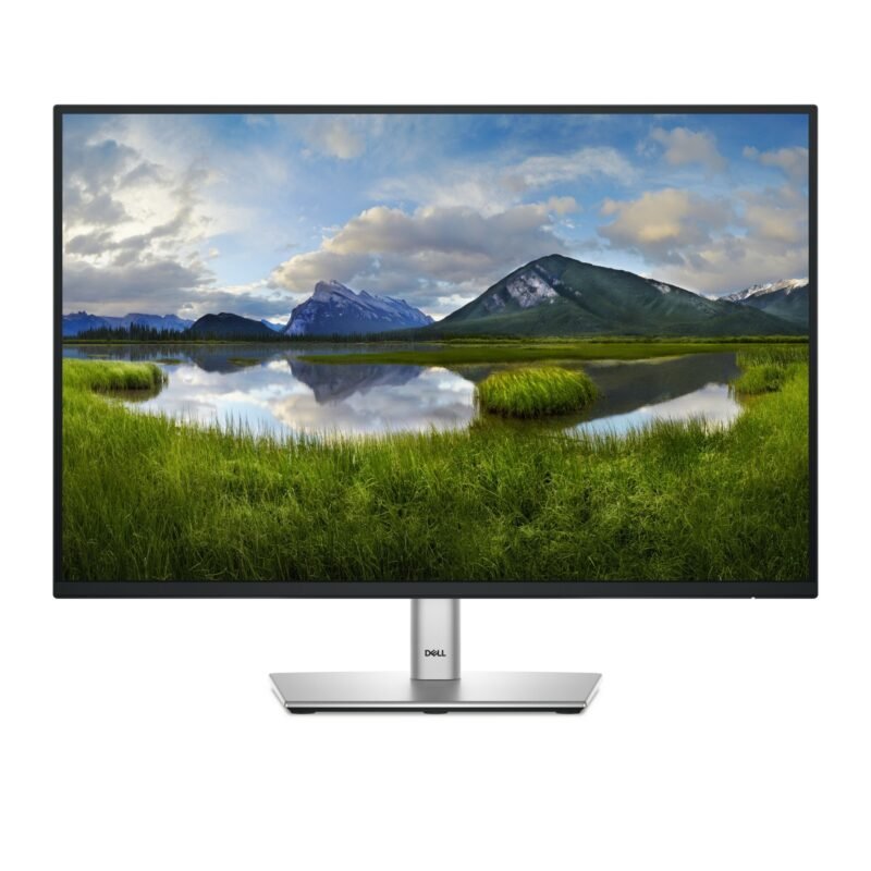 Dell 24 Monitor P2425 Flat Screen 61.1 cm, photo 1 of 1