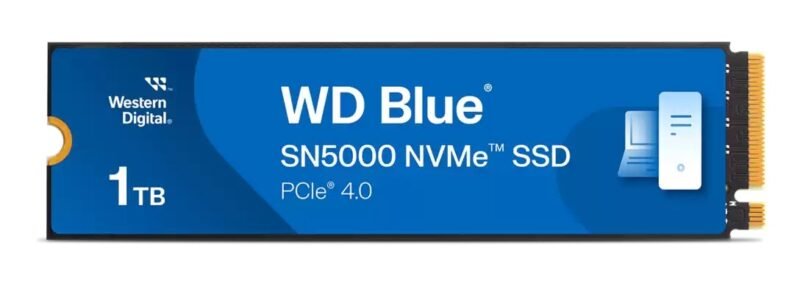 WDS100T4B0E, photo 1 of 1
