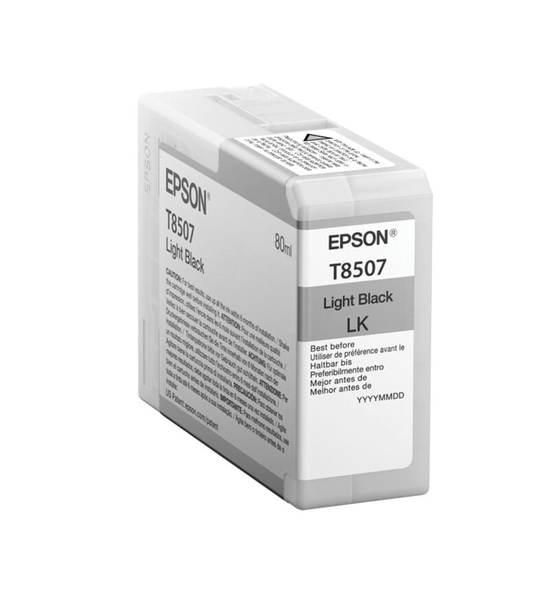 Epson Singlepack Light Black T850700, foto 1 van 1
