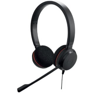 Jabra Evolve 20 USB C/A MS Stereo